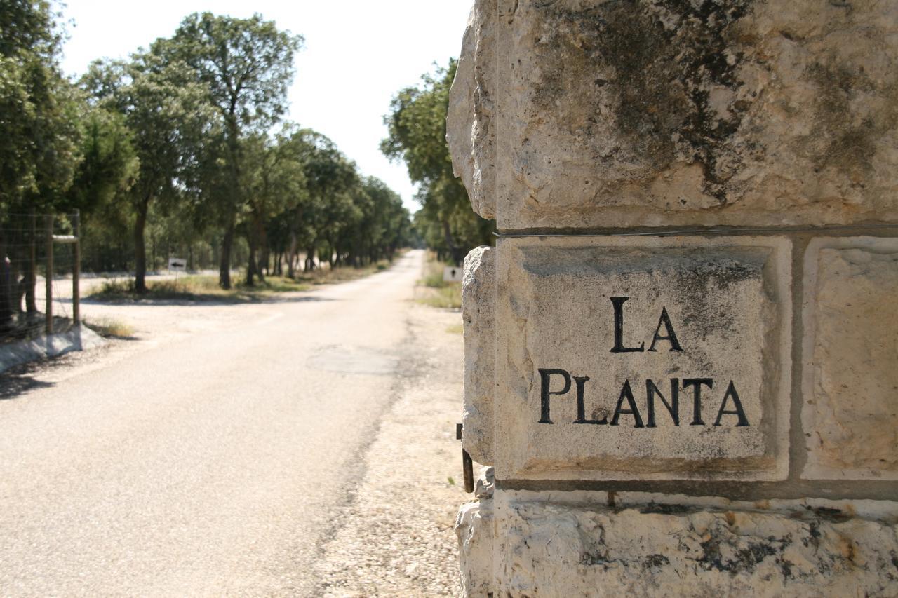 Hotel La Casita de la Planta Quintanilla de Onésimo Exterior foto